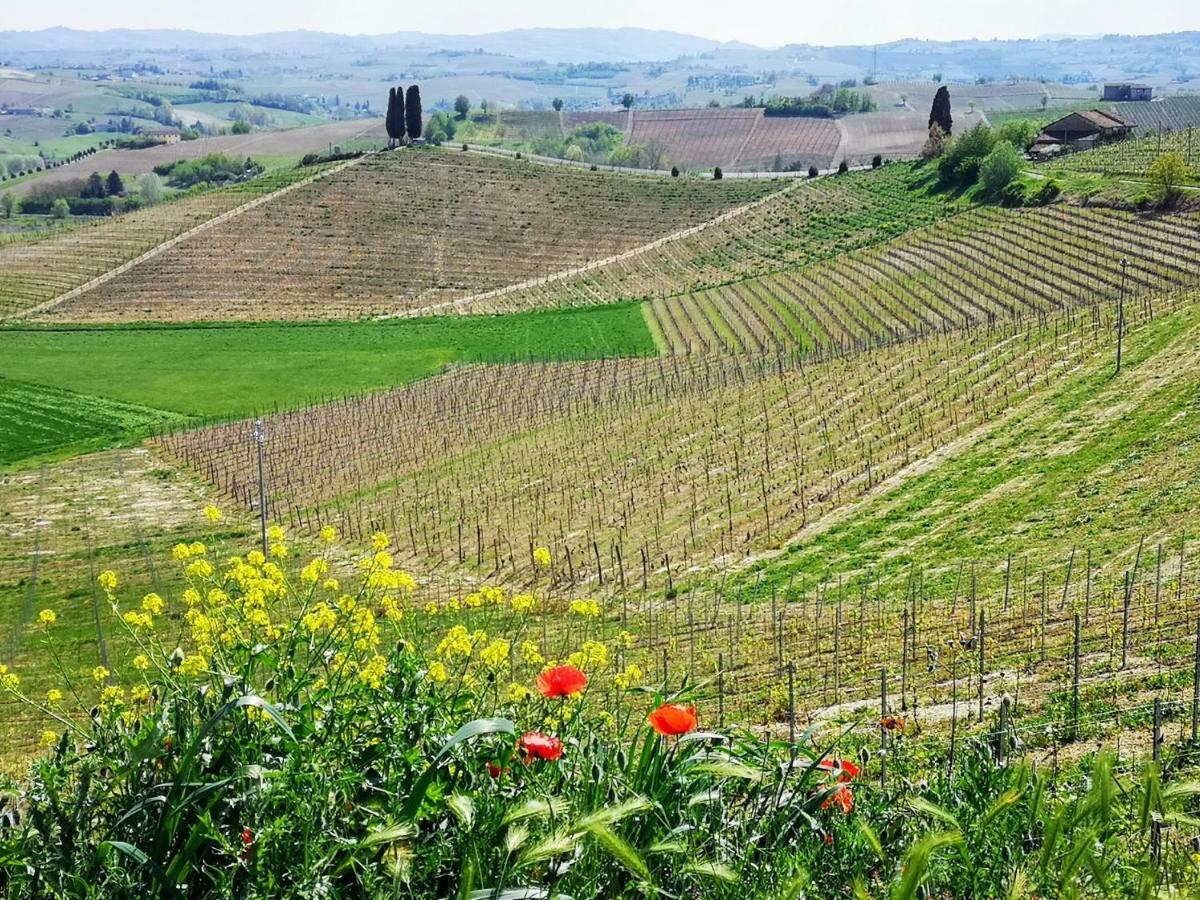 La Maggiorina Aparthotel Agliano Terme Εξωτερικό φωτογραφία